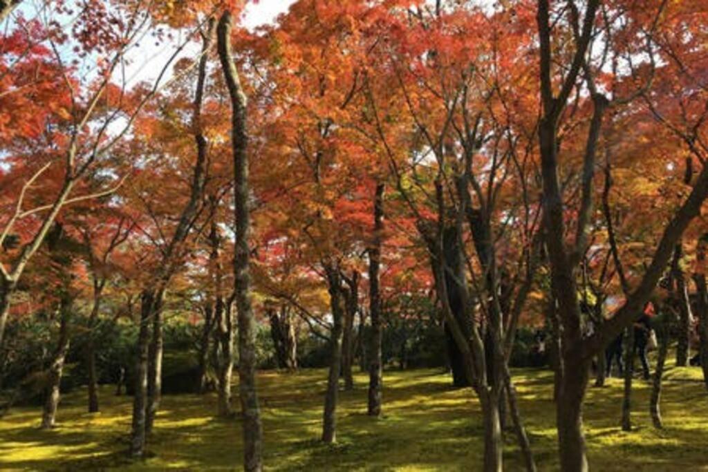 Ek House Hakone Shushinso 箱根修身荘 Villa Exterior photo